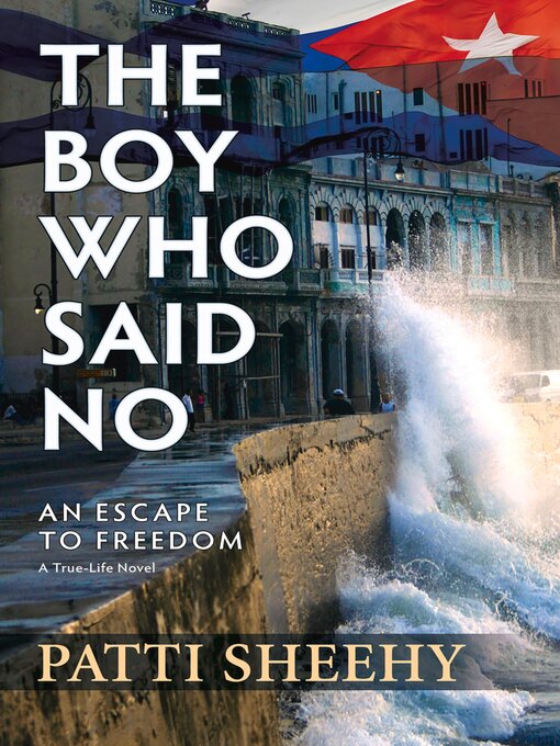 Title details for The Boy Who Said No by Patti Sheehy - Available